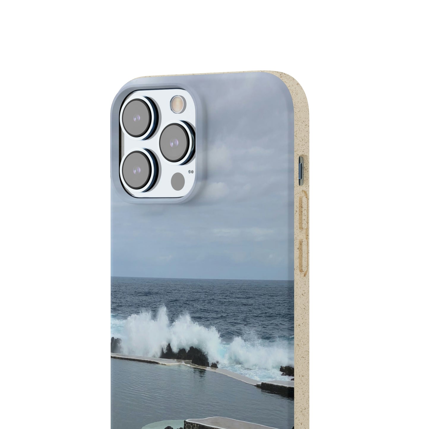 Bio-Cases, Volcanic Pools2-Madeira Portugal