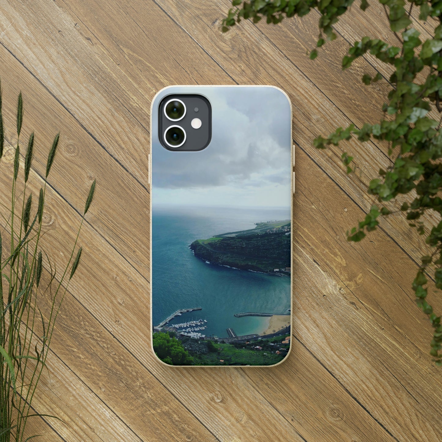 Bio-Cases, Madeira Portugal