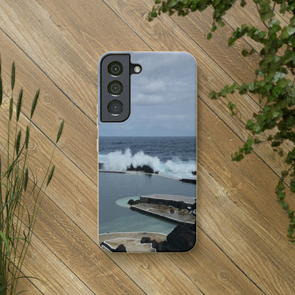 Bio-Cases, Volcanic Pools2-Madeira Portugal