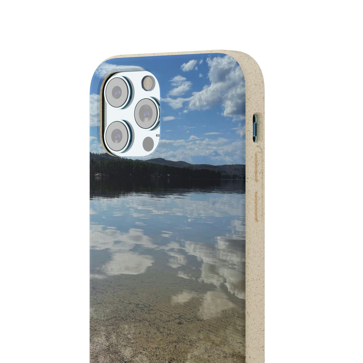 Bio-Cases, Lake Reflections