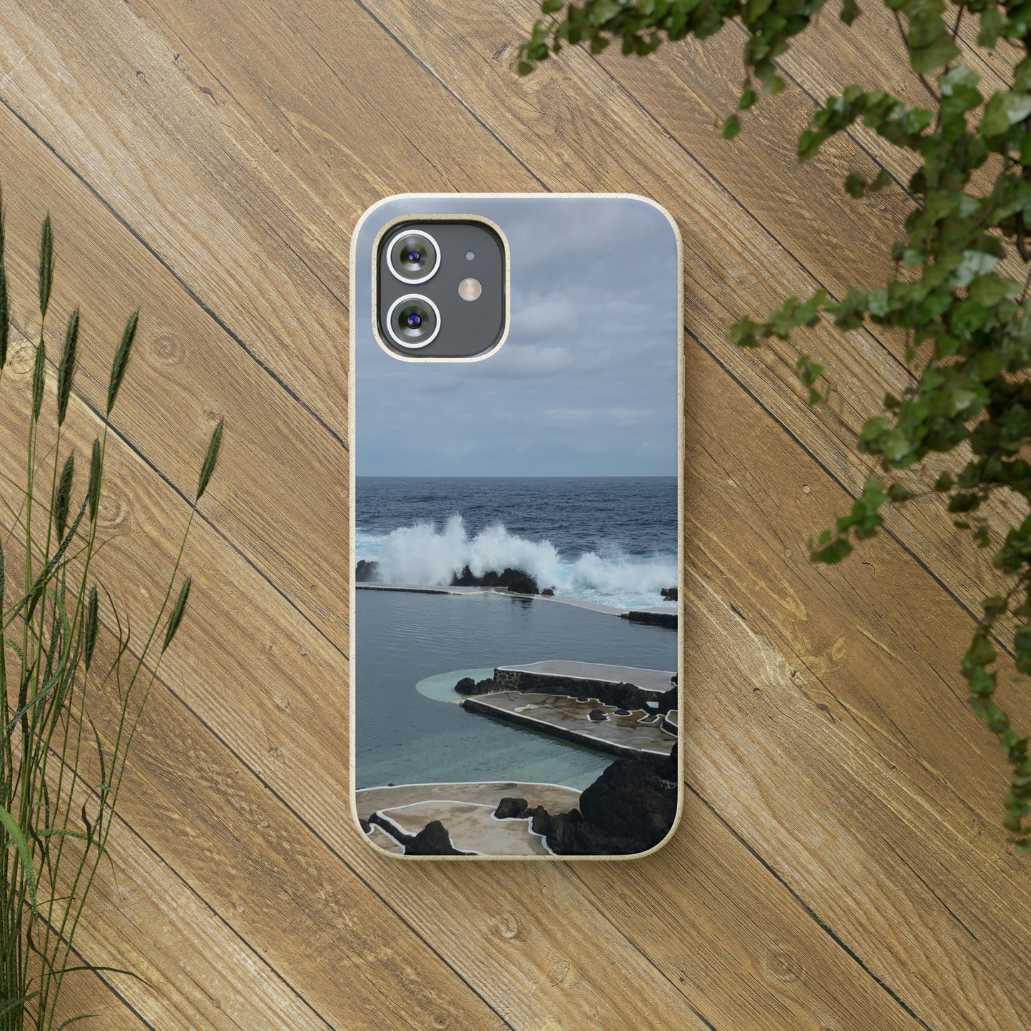 Bio-Cases, Volcanic Pools2-Madeira Portugal