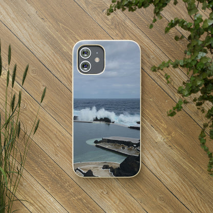 Bio-Cases, Volcanic Pools2-Madeira Portugal