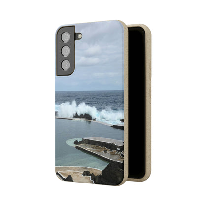 Bio-Cases, Volcanic Pools2-Madeira Portugal