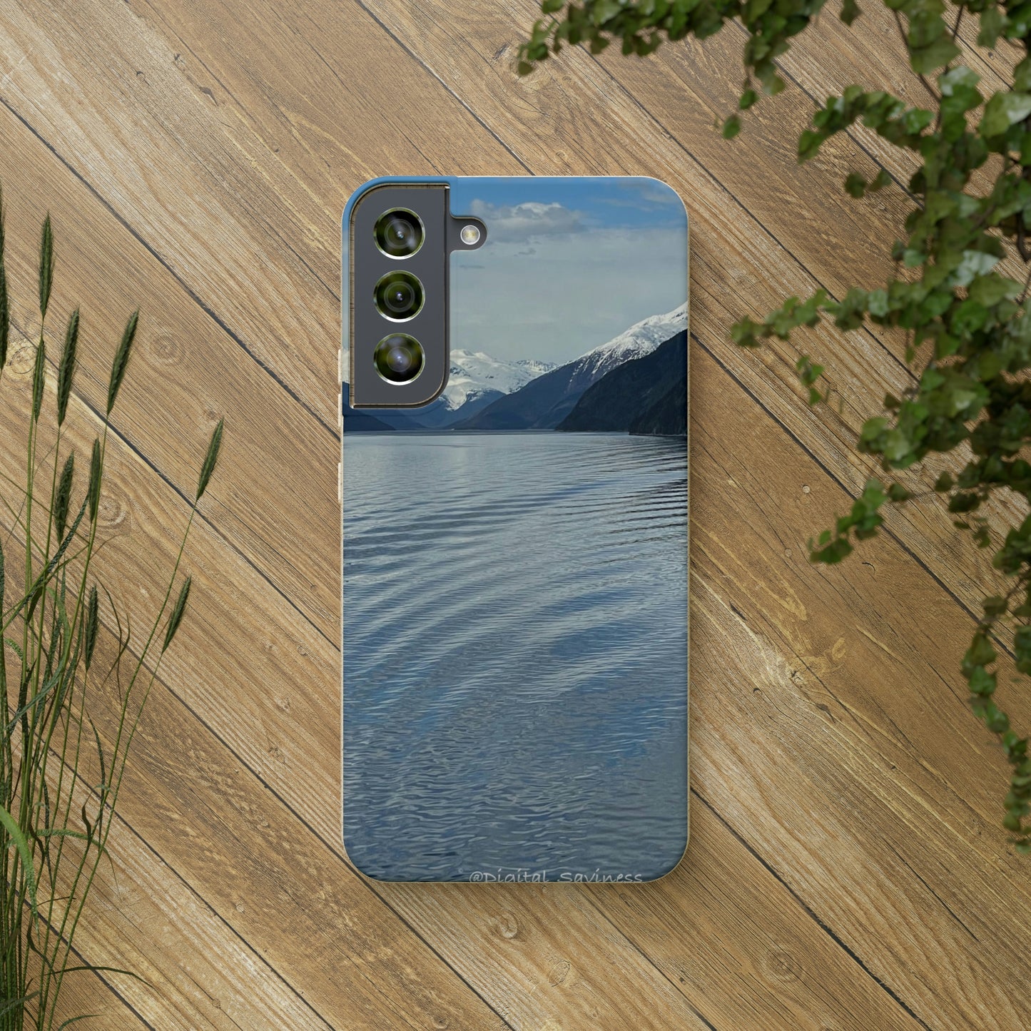 Bio-Cases, Icy Strait Alaska