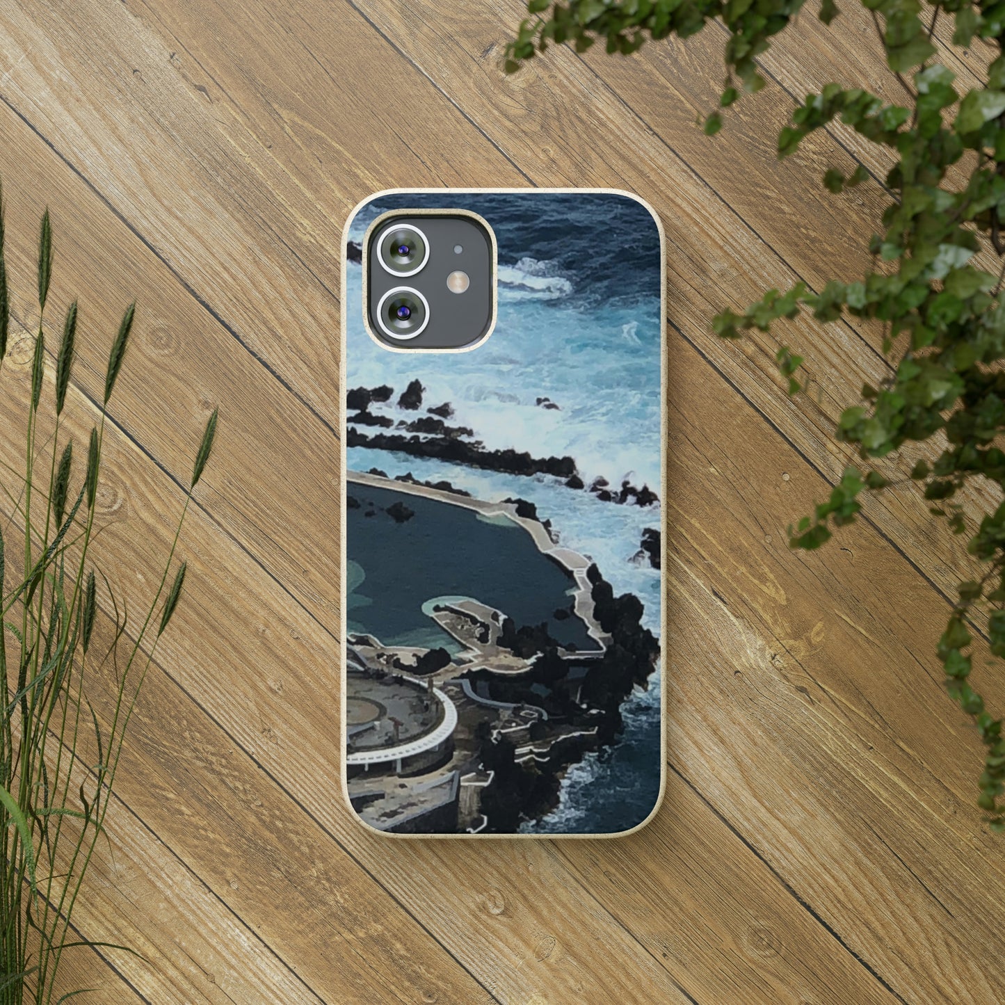 Bio-Cases, Volcanic Pools-Madeira Portugal