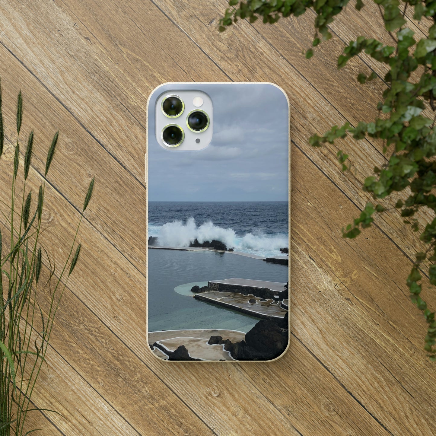 Bio-Cases, Volcanic Pools2-Madeira Portugal