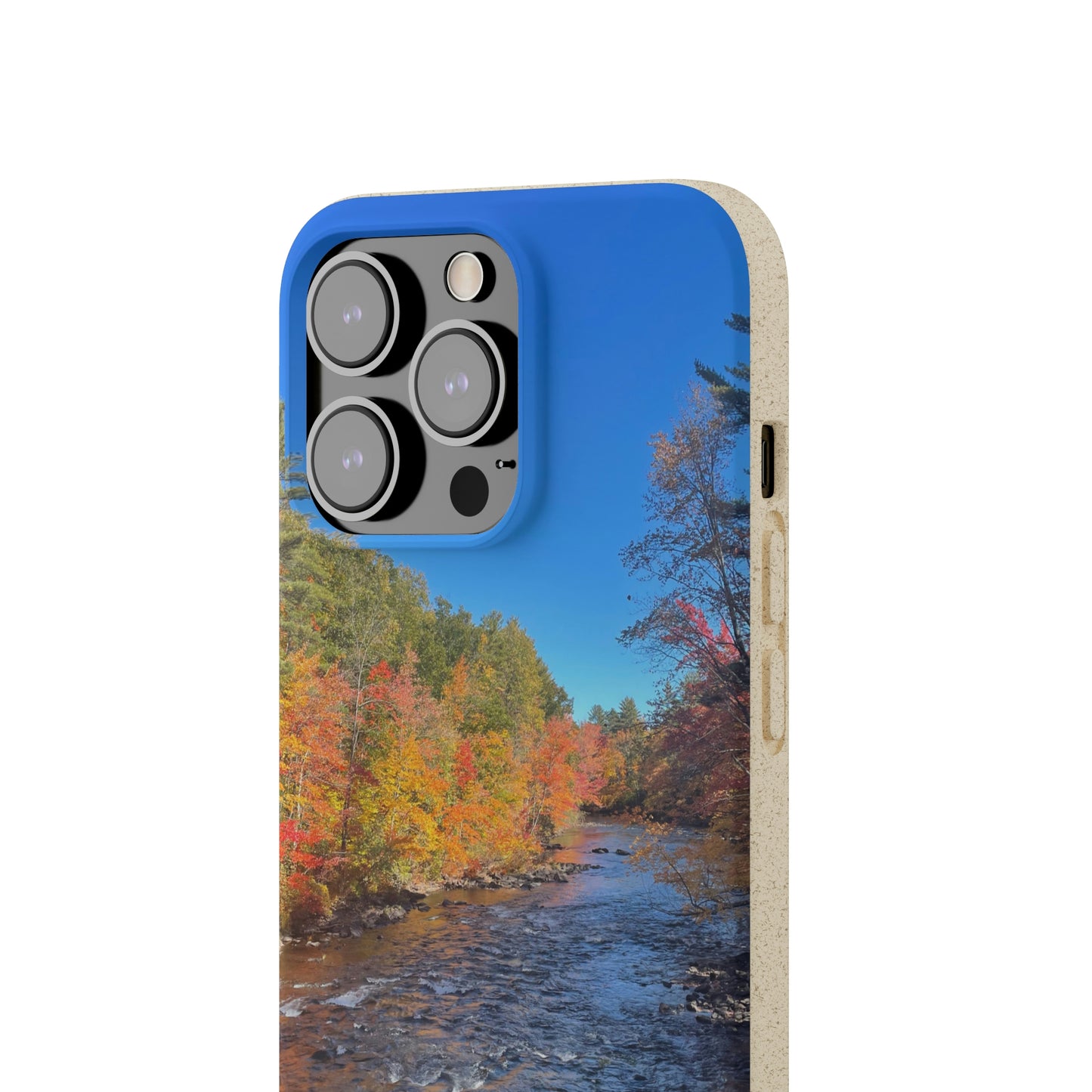 Bio-Cases, Fall Foliage NH