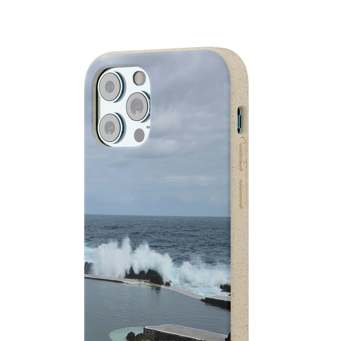 Bio-Cases, Volcanic Pools2-Madeira Portugal