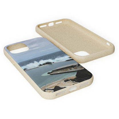 Bio-Cases, Volcanic Pools2-Madeira Portugal