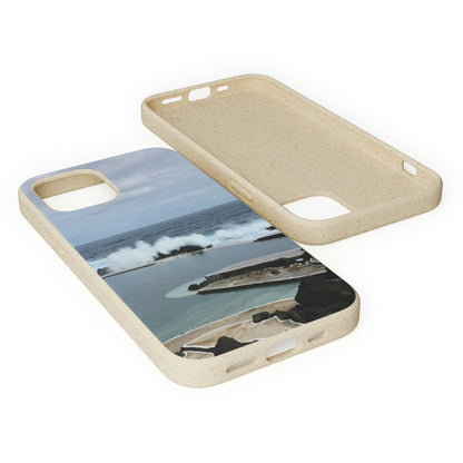 Bio-Cases, Volcanic Pools2-Madeira Portugal