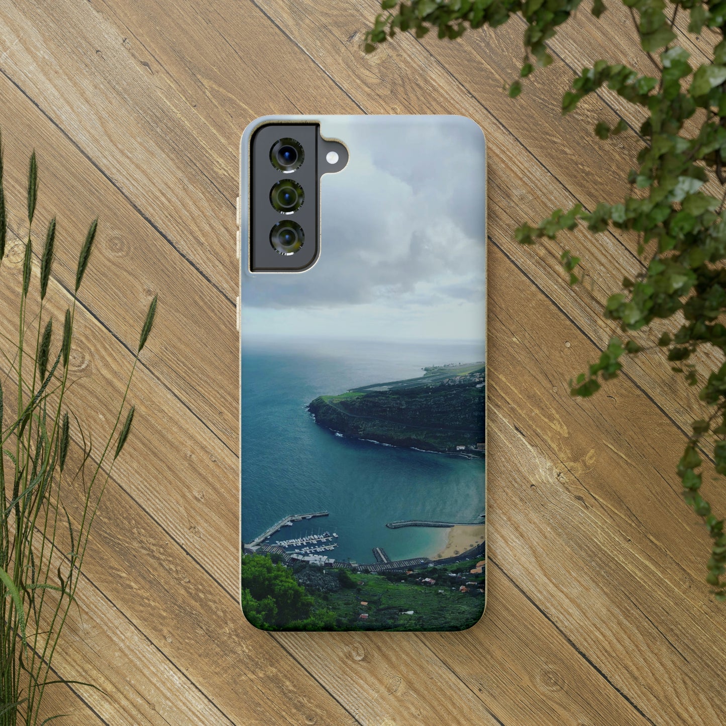 Bio-Cases, Madeira Portugal