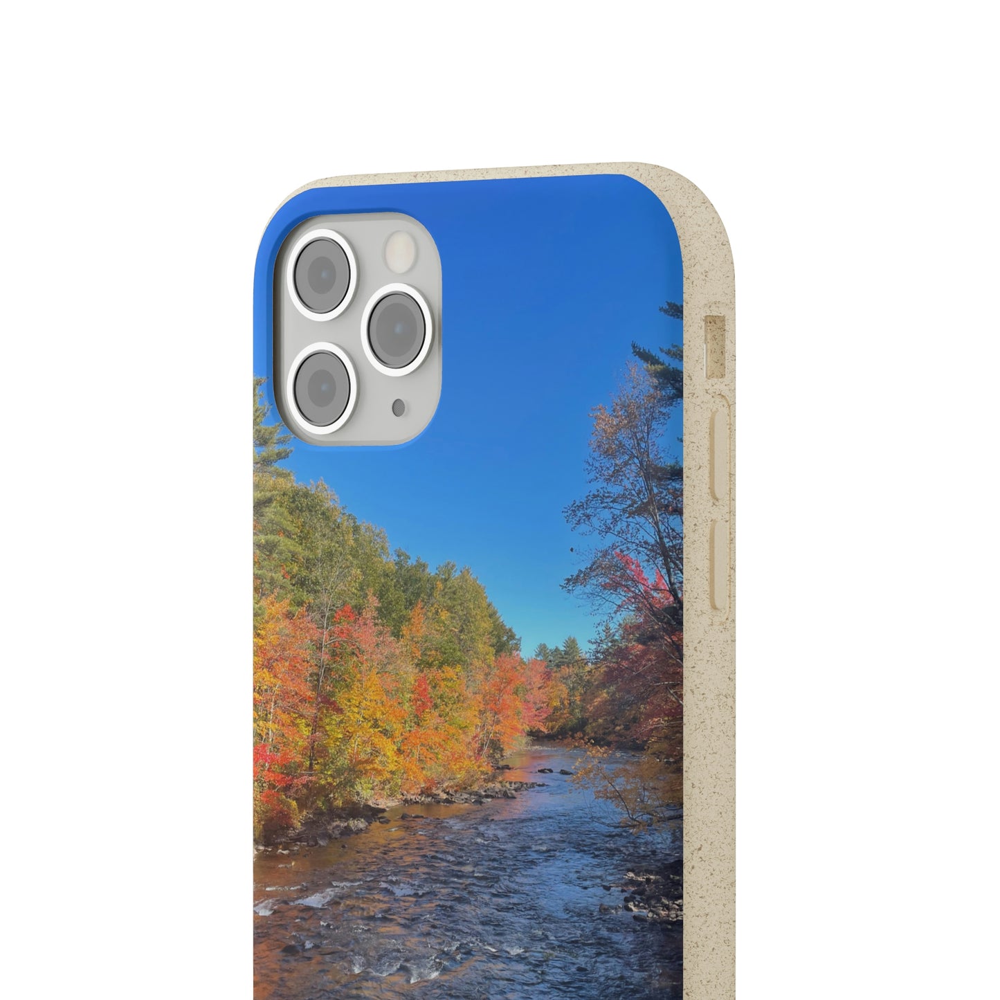 Bio-Cases, Fall Foliage NH