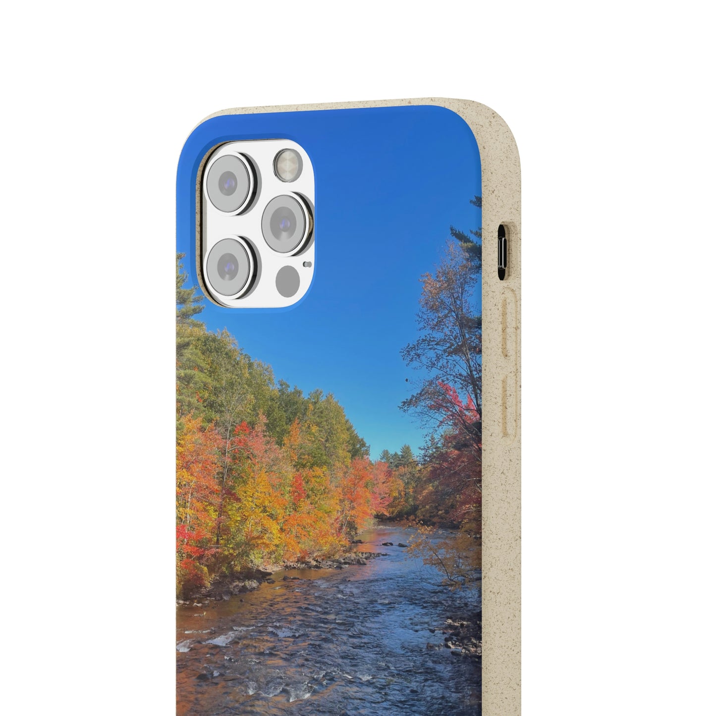 Bio-Cases, Fall Foliage NH