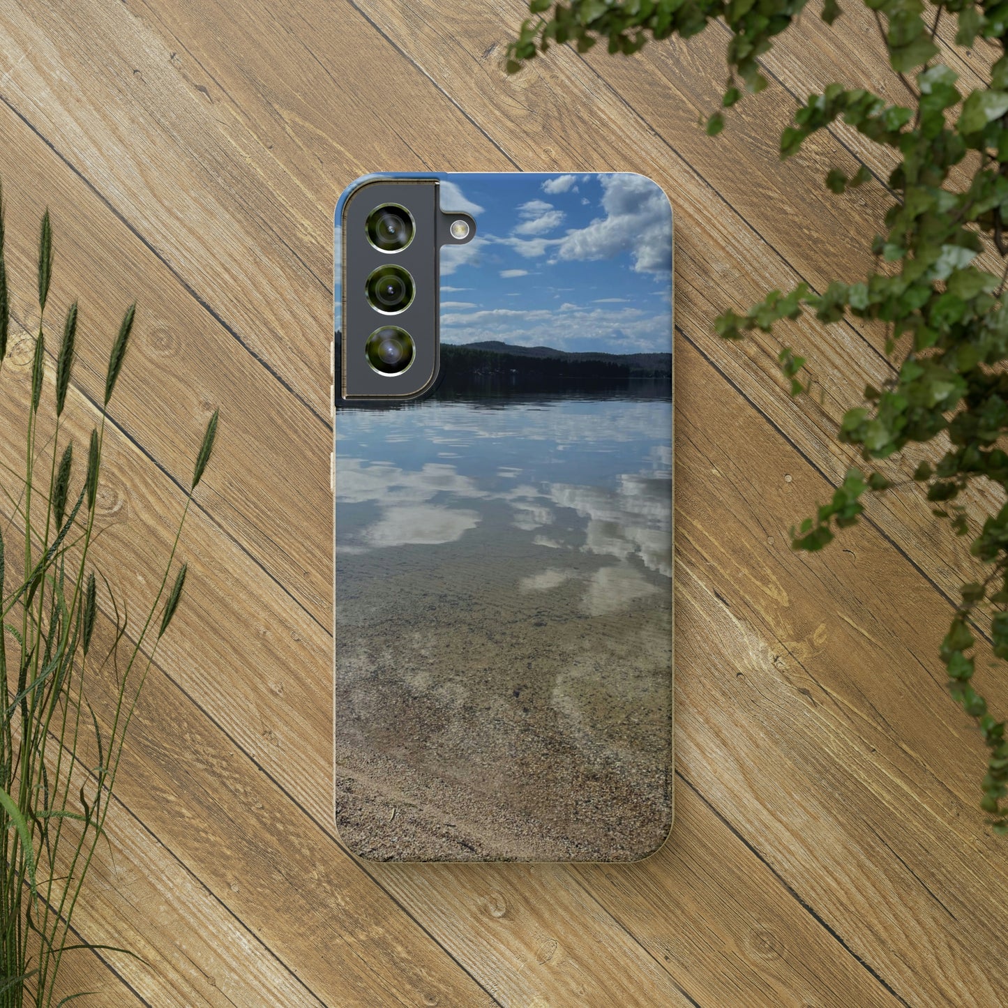 Bio-Cases, Lake Reflections