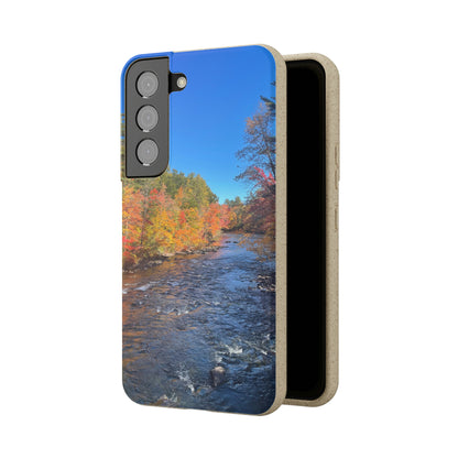 Bio-Cases, Fall Foliage NH