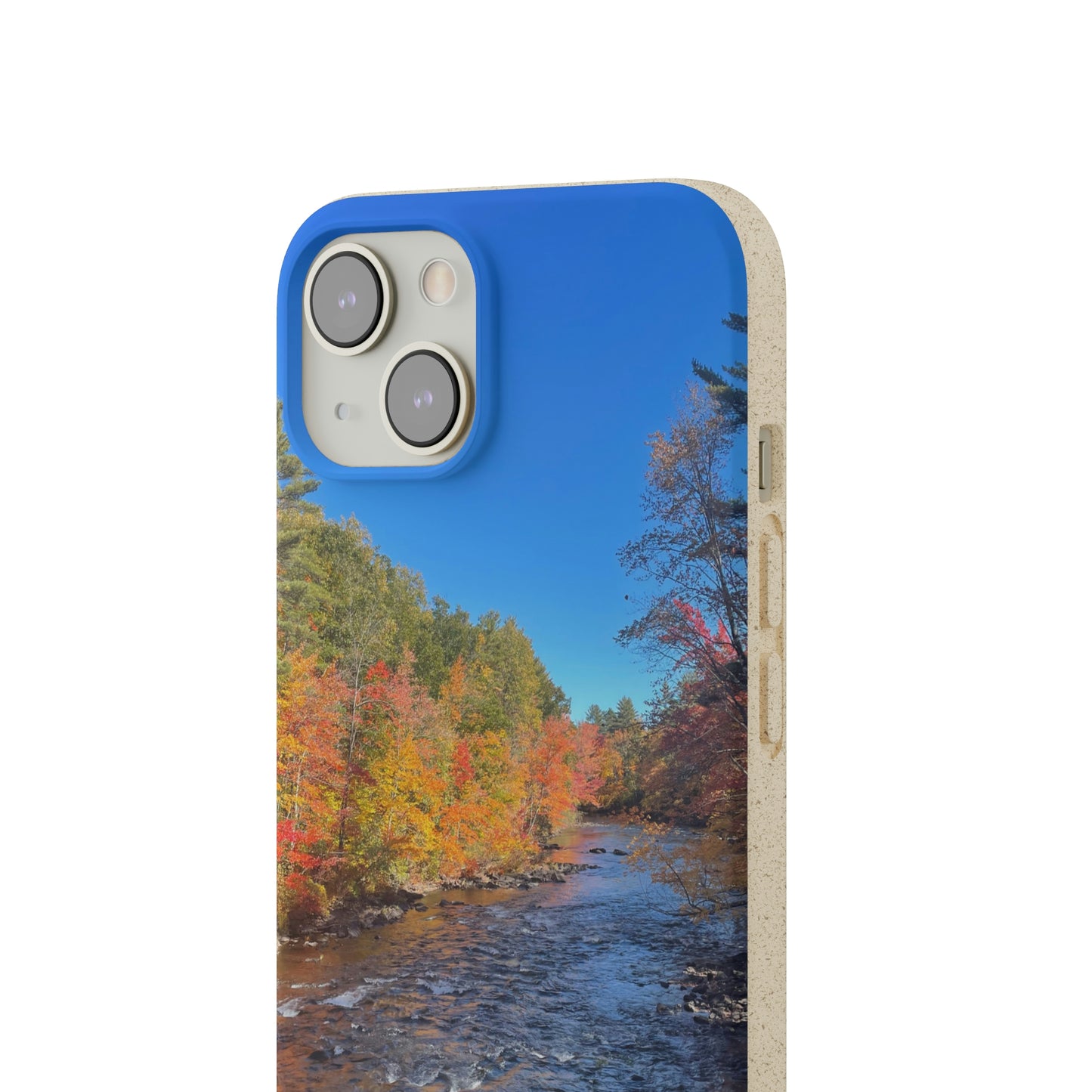 Bio-Cases, Fall Foliage NH