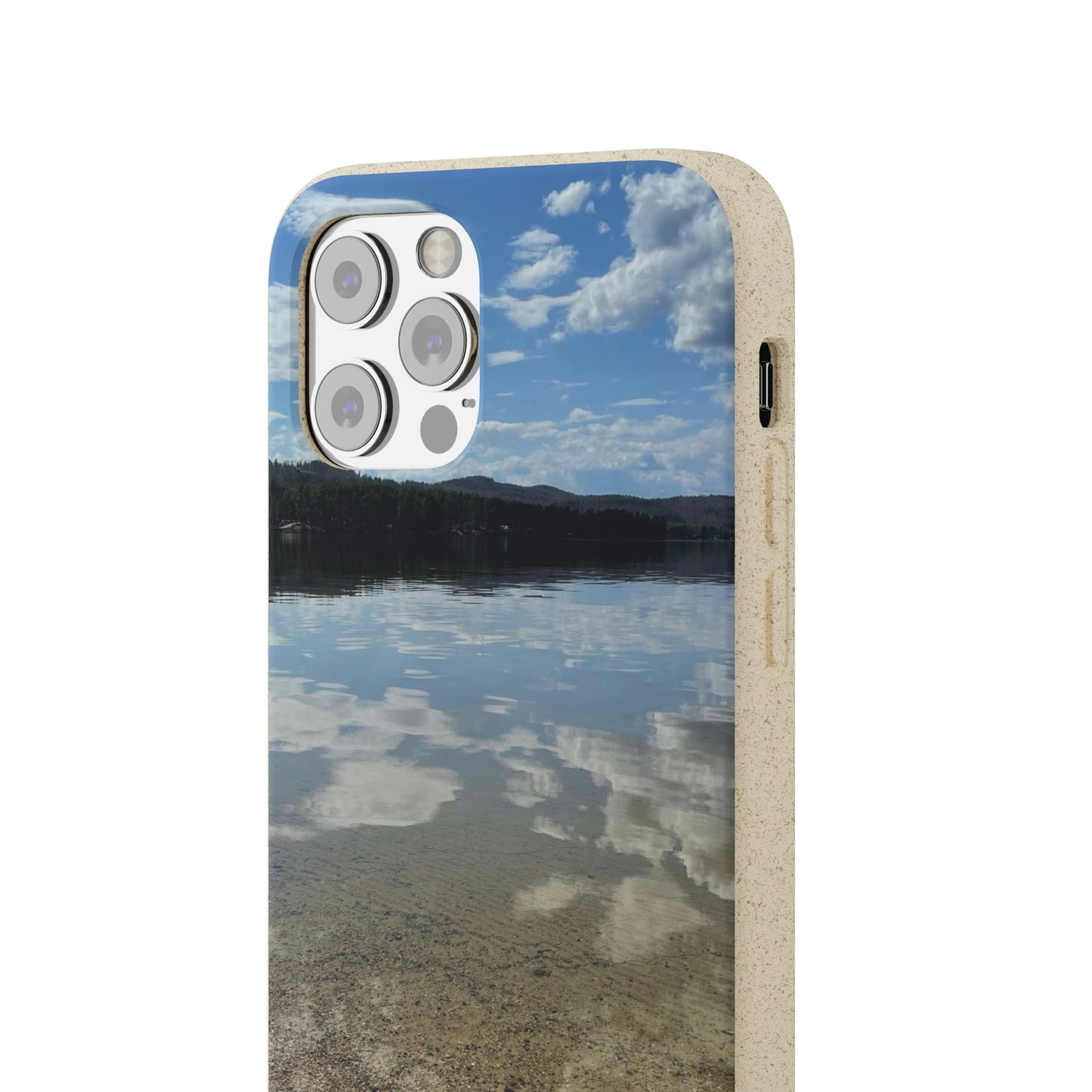 Bio-Cases, Lake Reflections