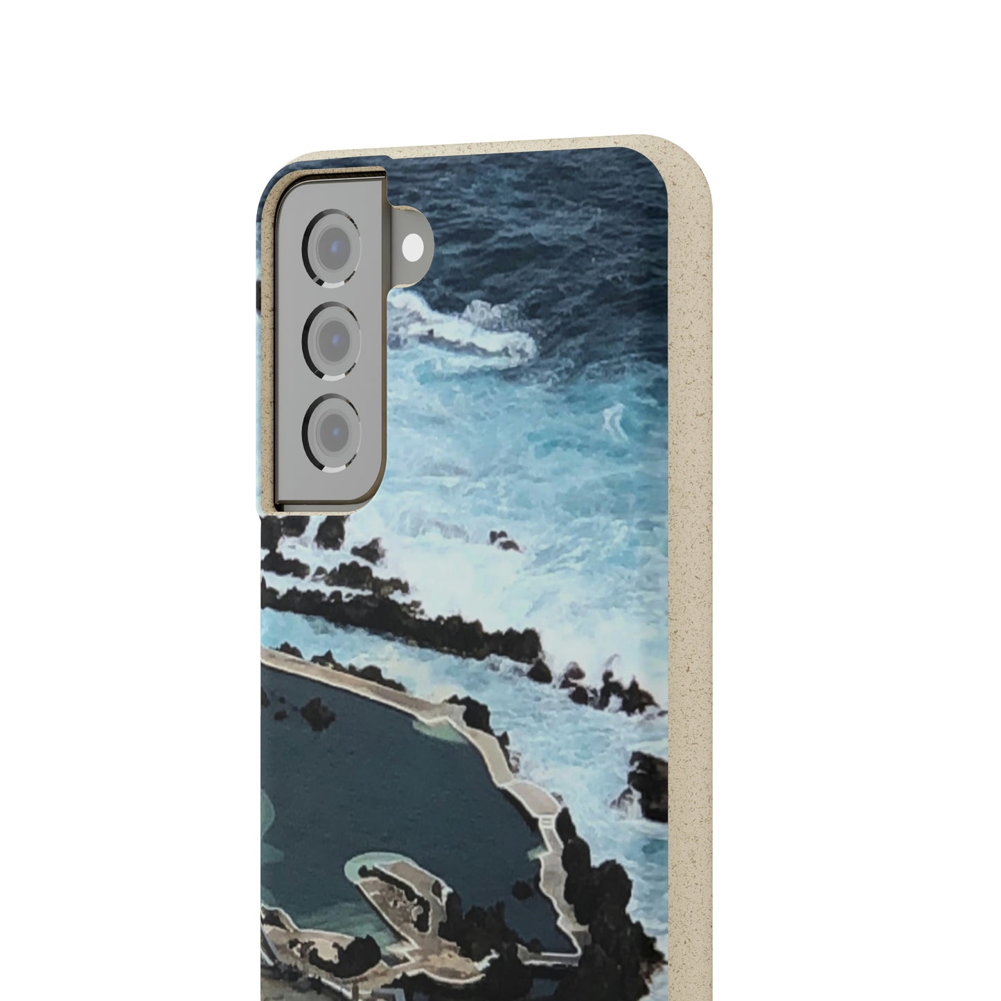 Bio-Cases, Volcanic Pools-Madeira Portugal