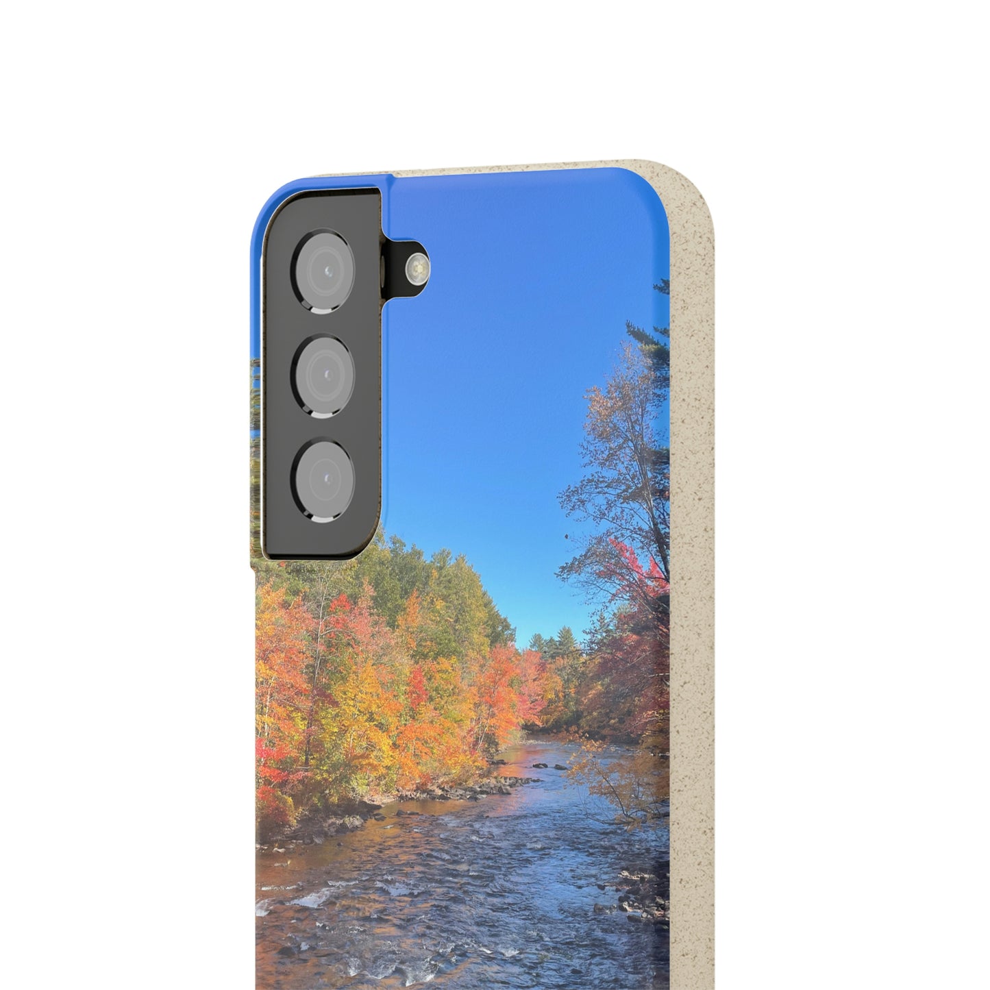 Bio-Cases, Fall Foliage NH