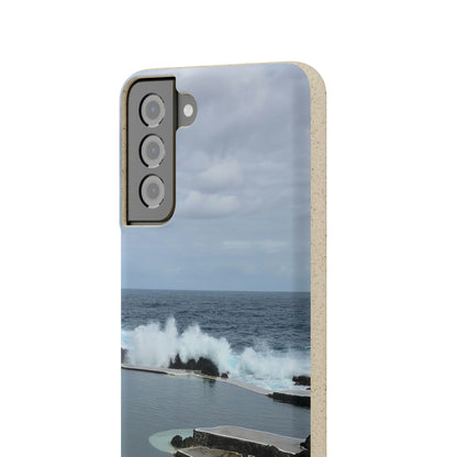 Bio-Cases, Volcanic Pools2-Madeira Portugal