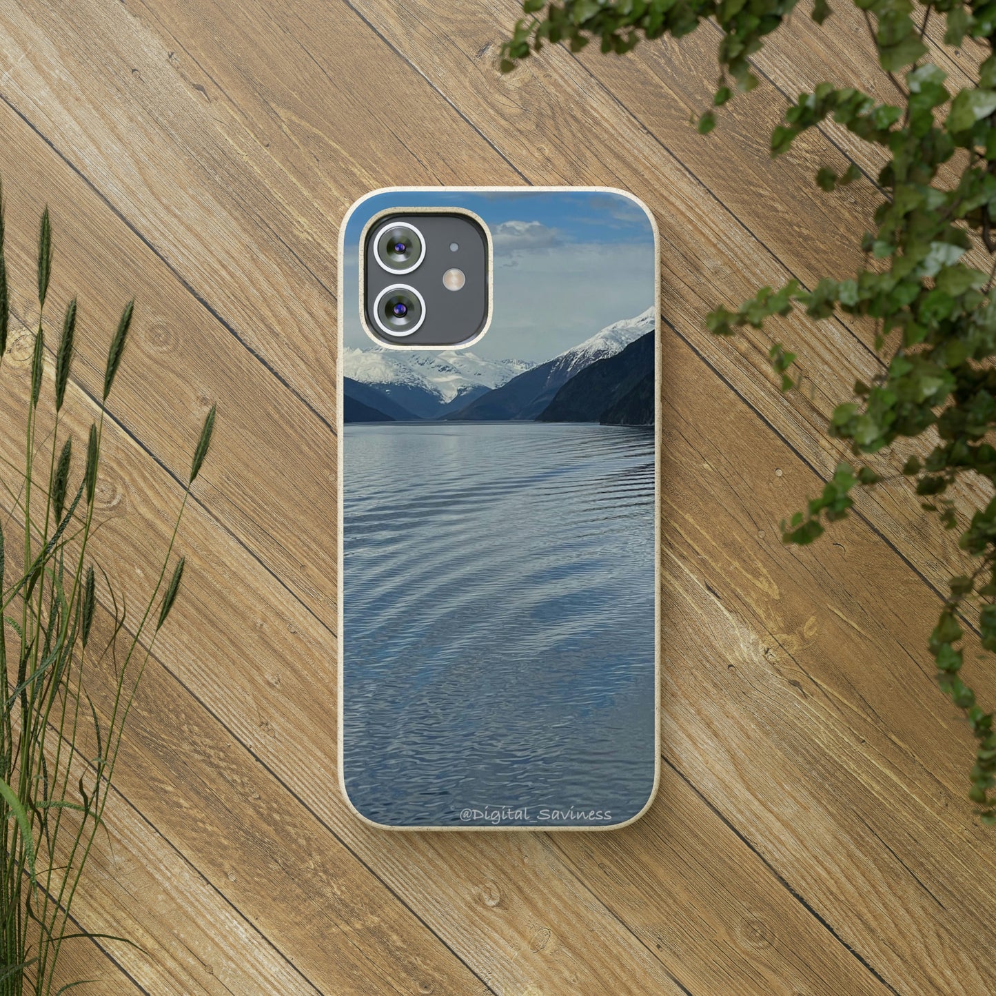 Bio-Cases, Icy Strait Alaska