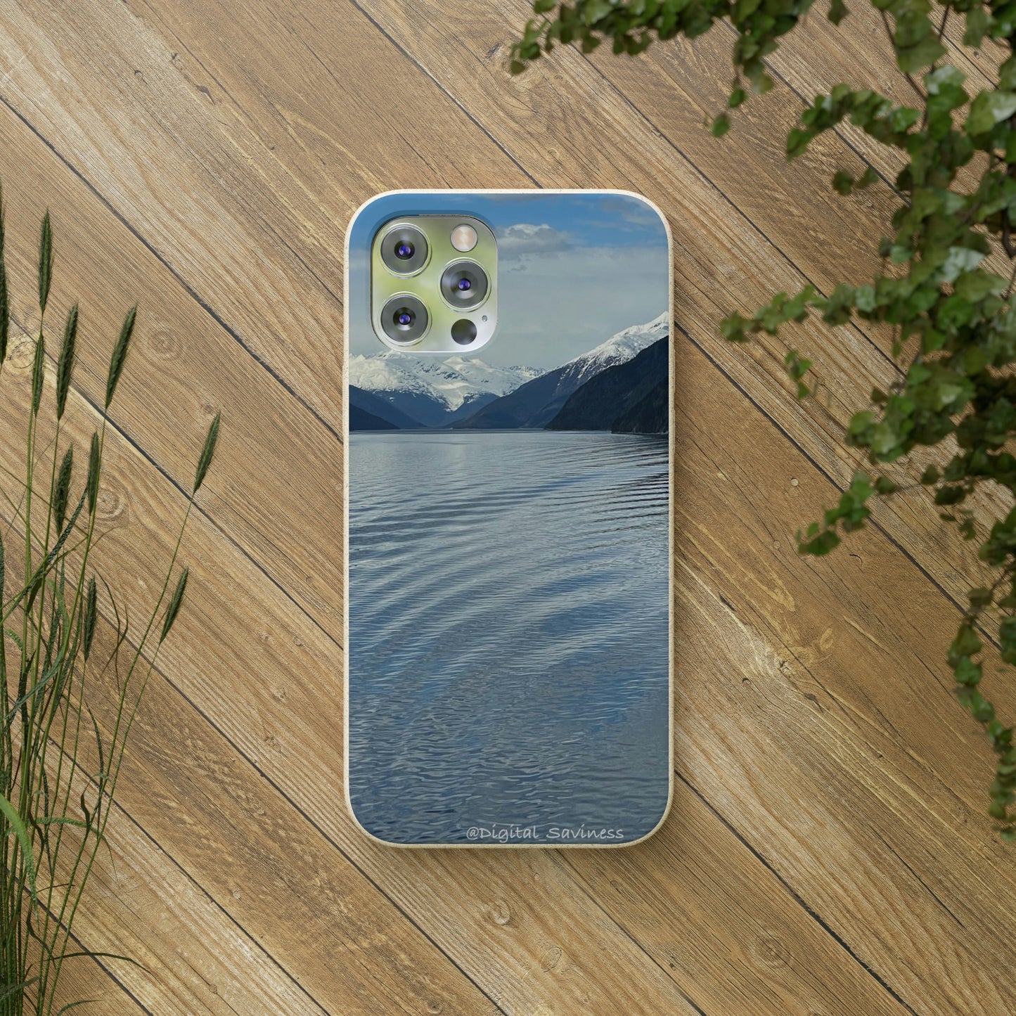 Bio-Cases, Icy Strait Alaska