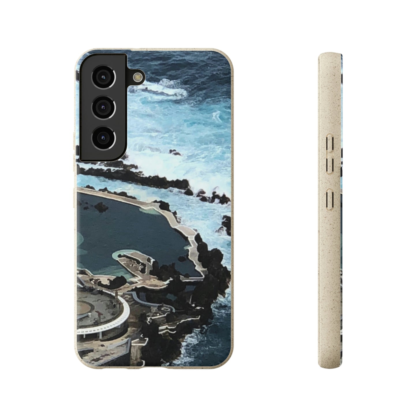 Bio-Cases, Volcanic Pools-Madeira Portugal