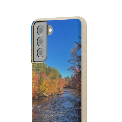 Bio-Cases, Fall Foliage NH