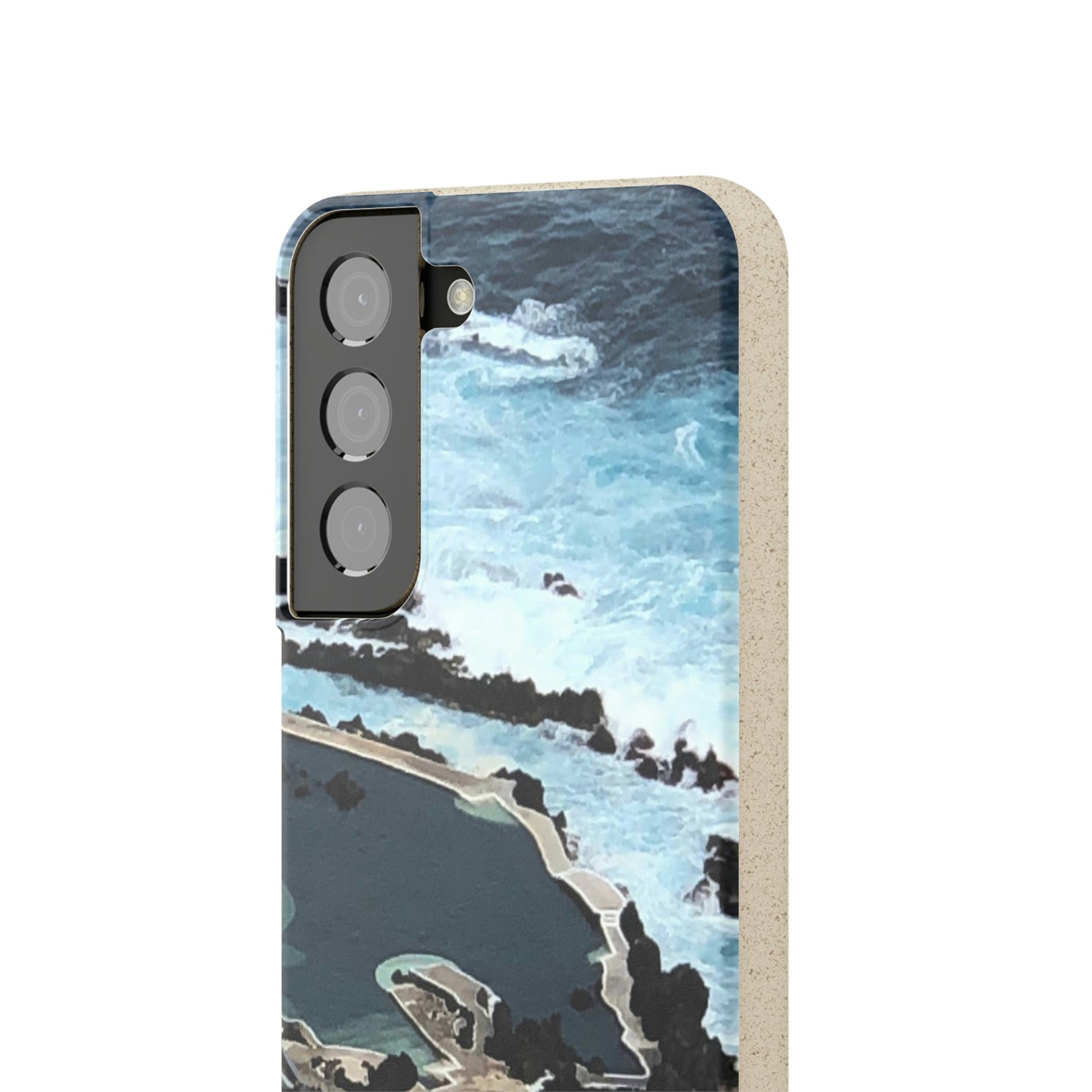 Bio-Cases, Volcanic Pools-Madeira Portugal