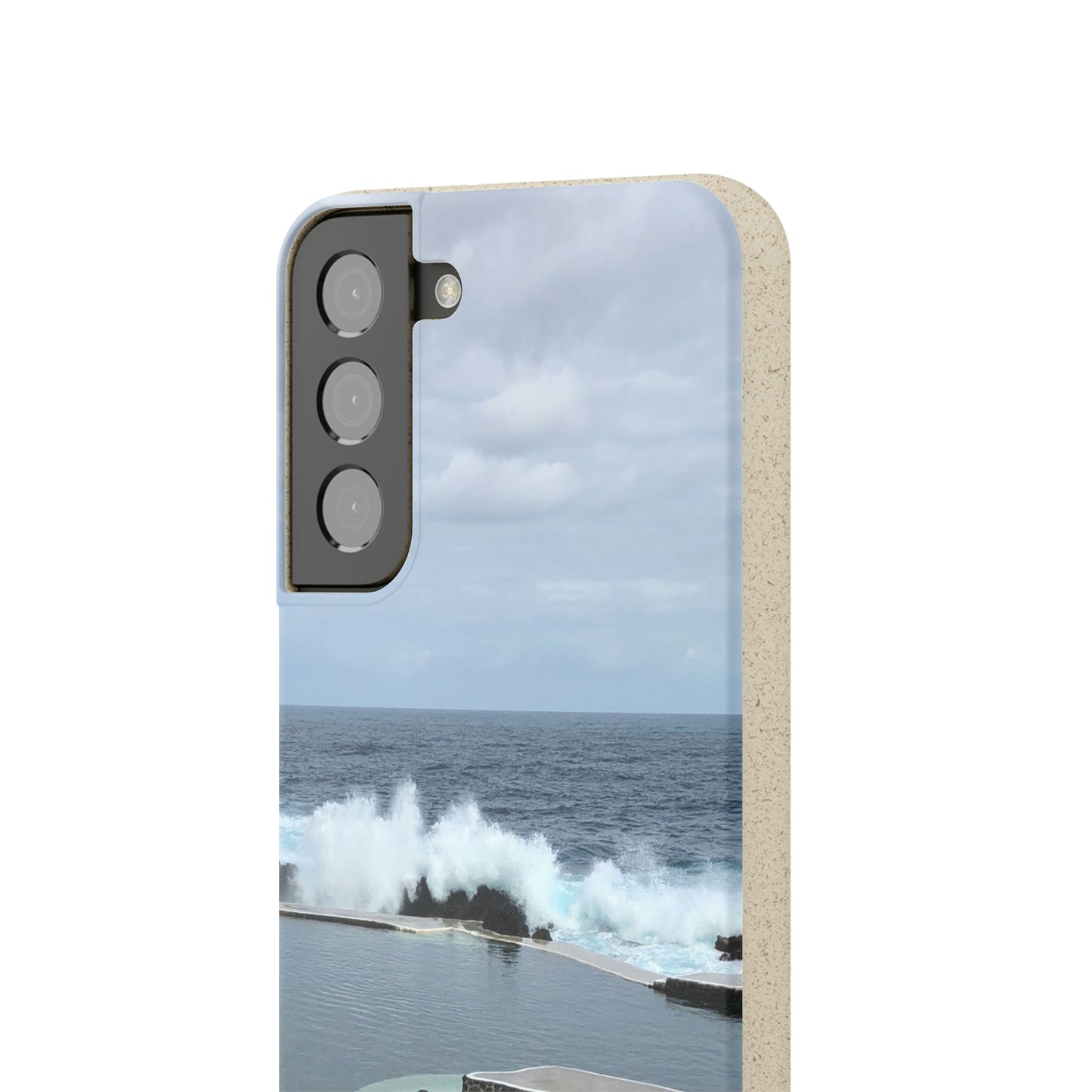 Bio-Cases, Volcanic Pools2-Madeira Portugal