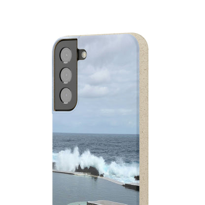 Bio-Cases, Volcanic Pools2-Madeira Portugal