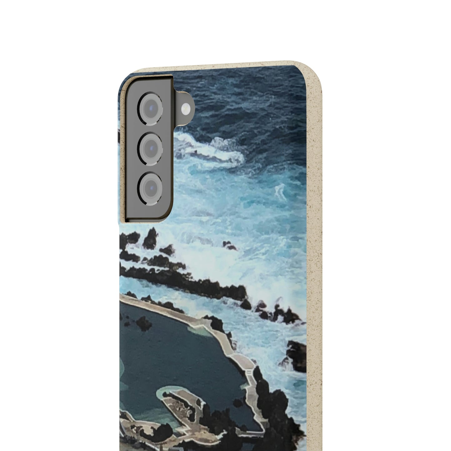 Bio-Cases, Volcanic Pools-Madeira Portugal