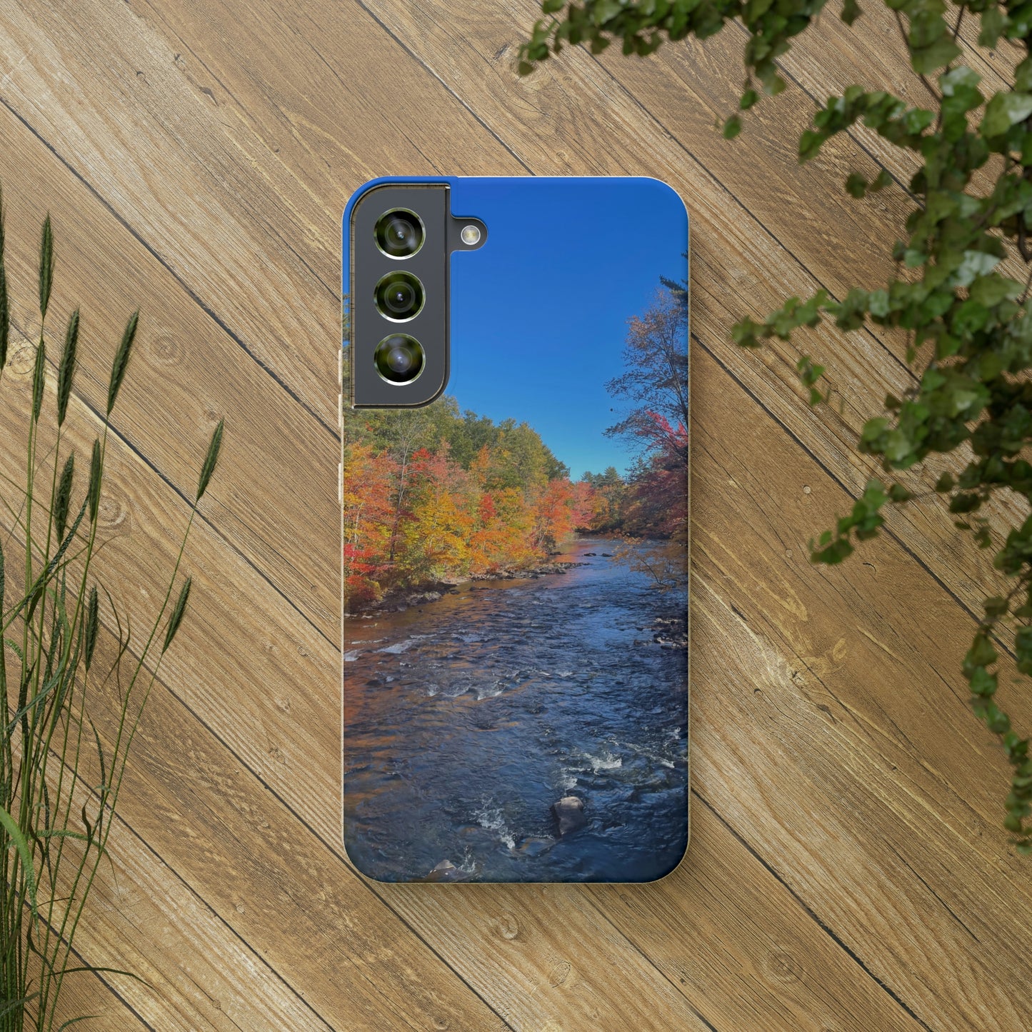 Bio-Cases, Fall Foliage NH