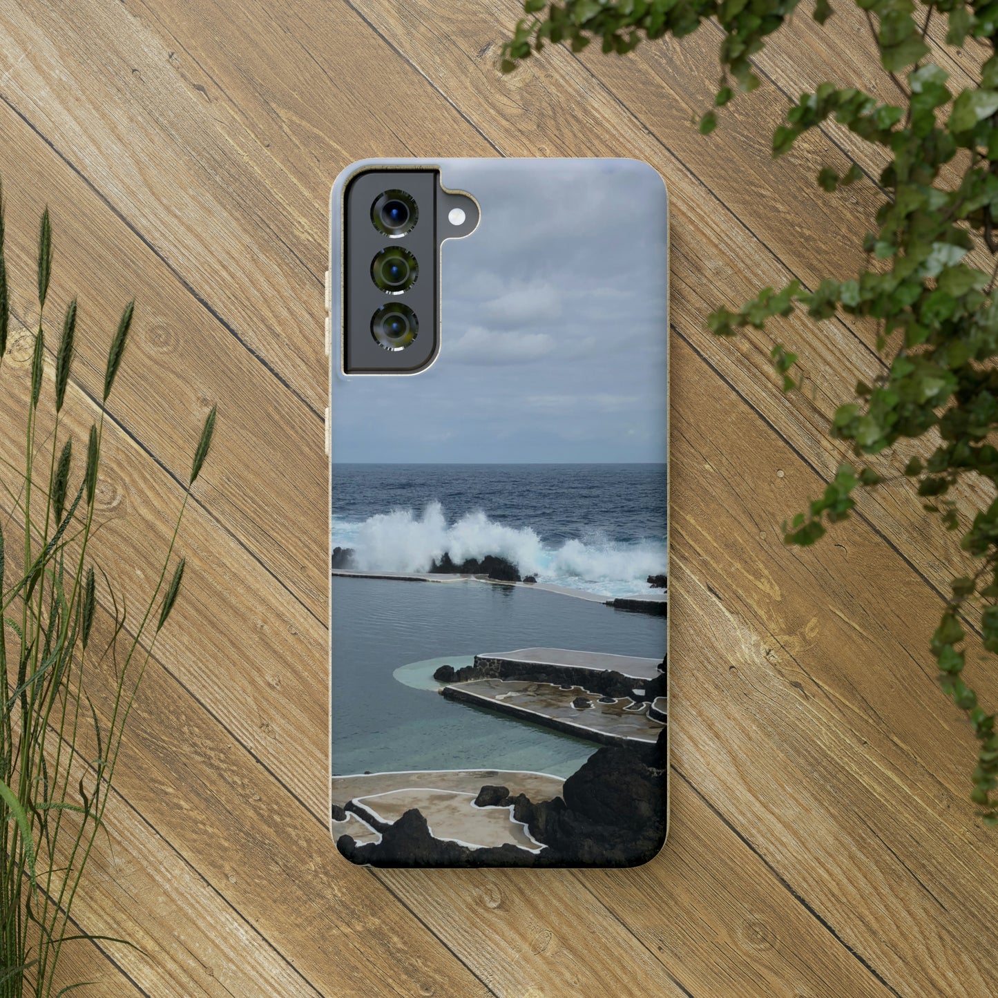 Bio-Cases, Volcanic Pools2-Madeira Portugal