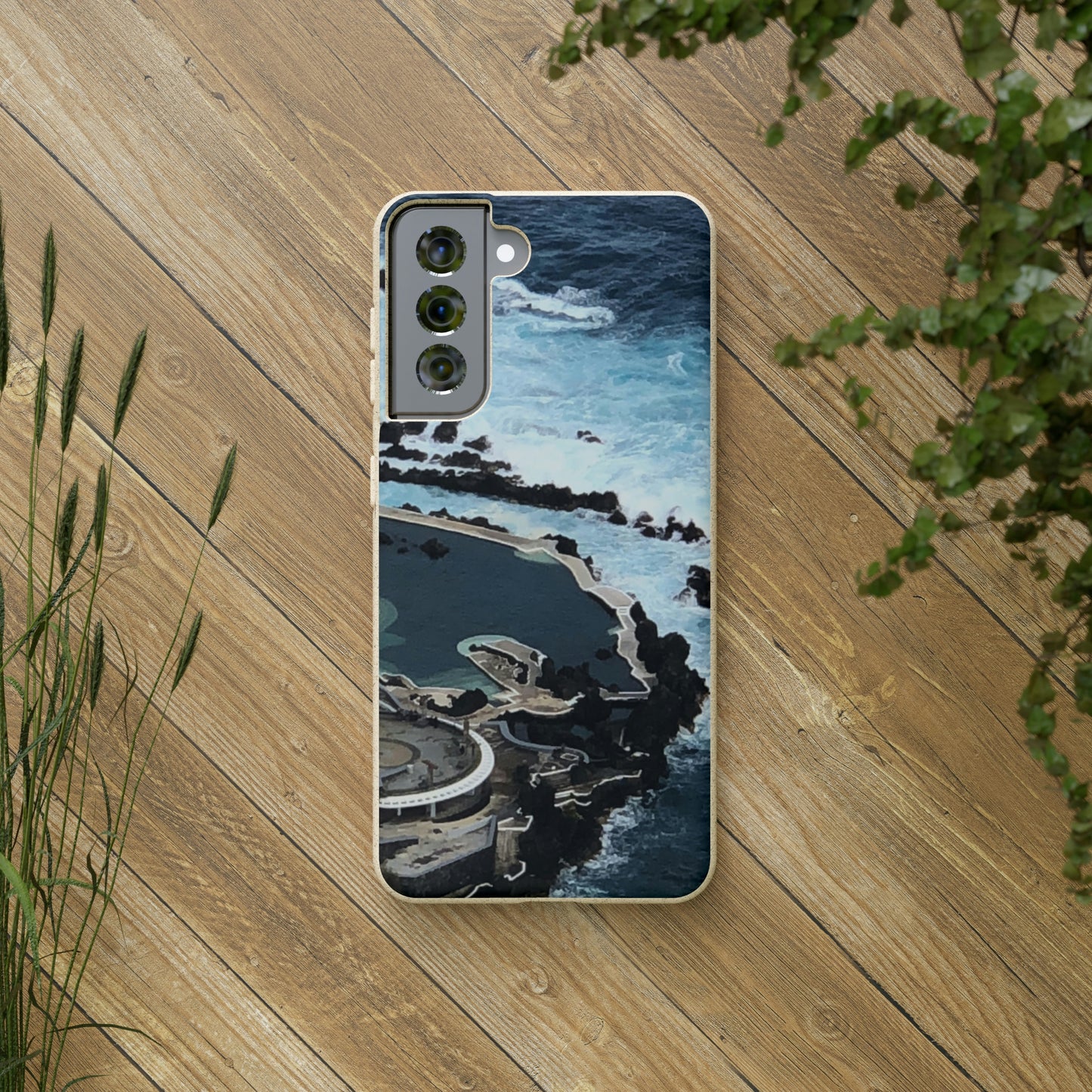 Bio-Cases, Volcanic Pools-Madeira Portugal