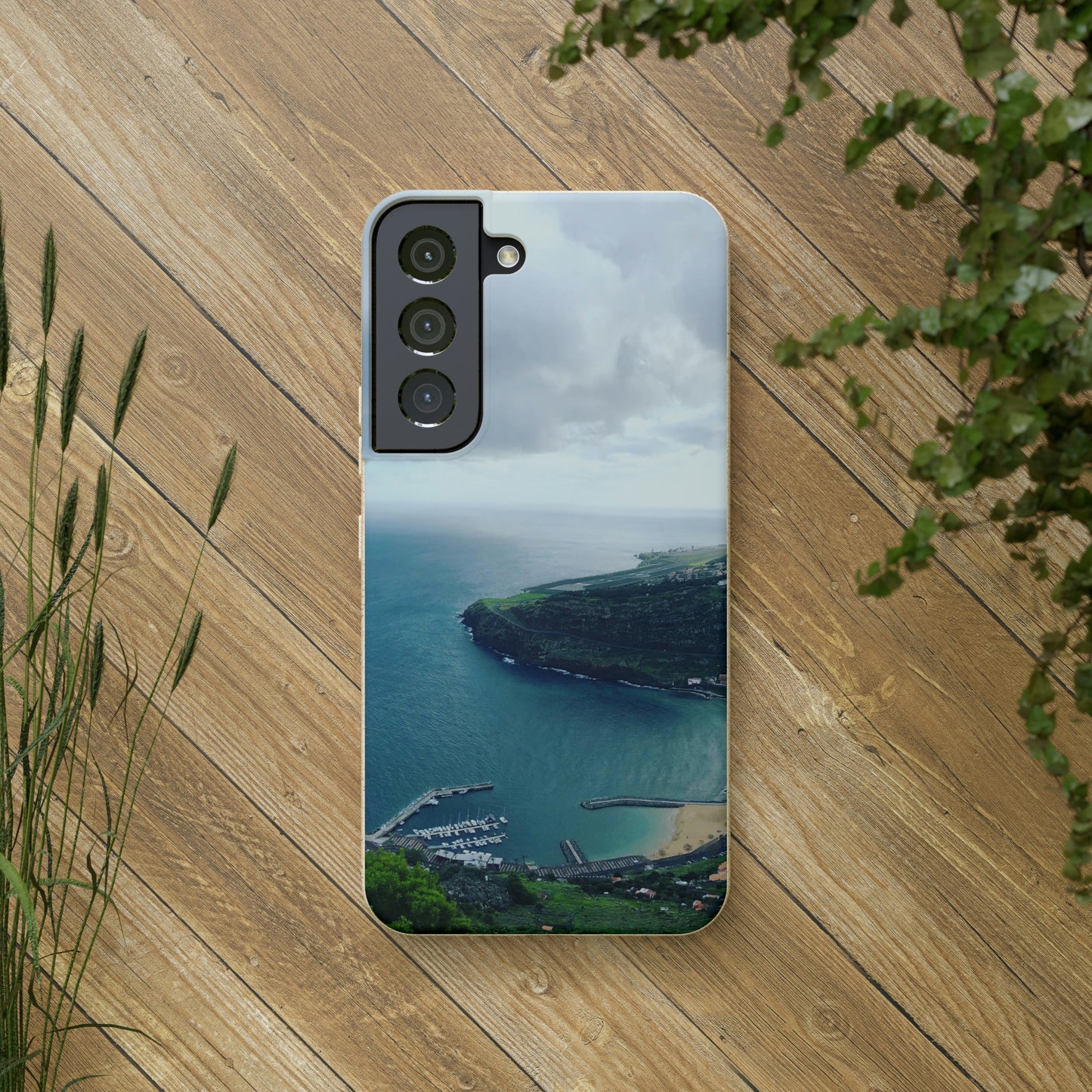 Bio-Cases, Madeira Portugal