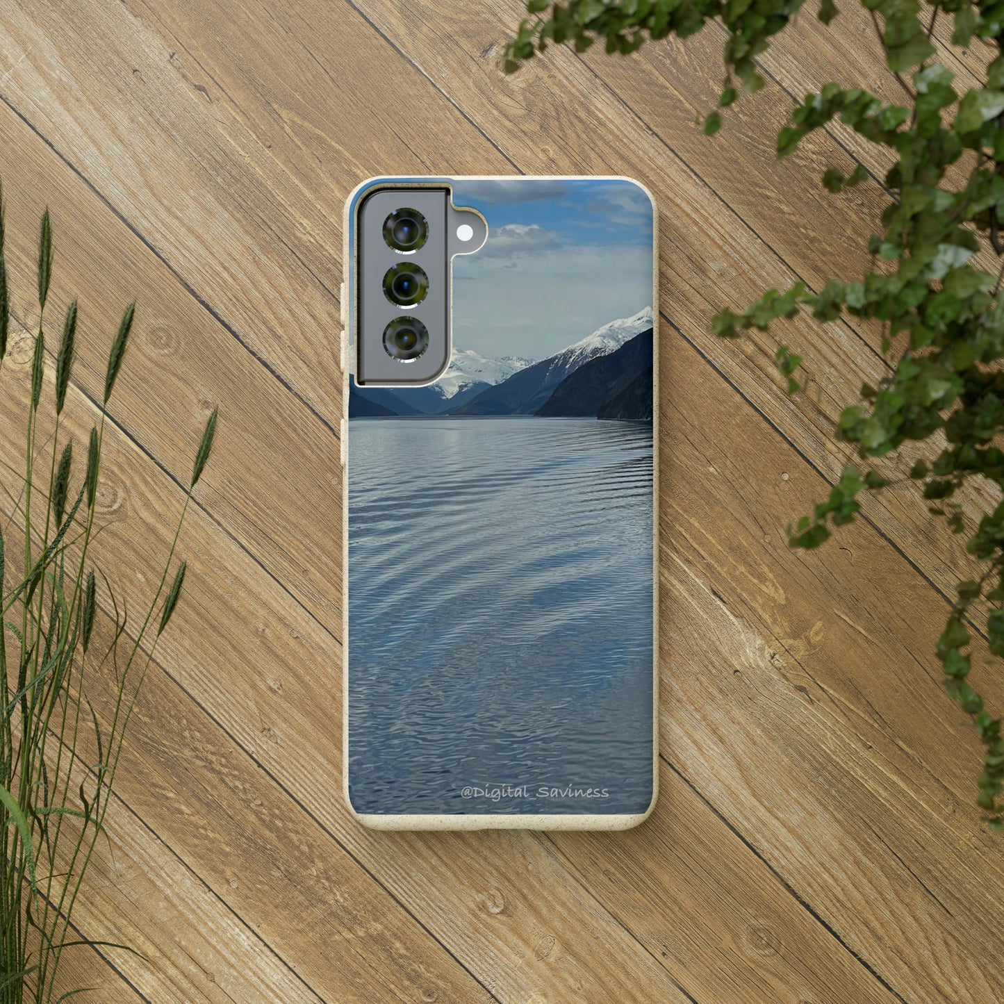 Bio-Cases, Icy Strait Alaska