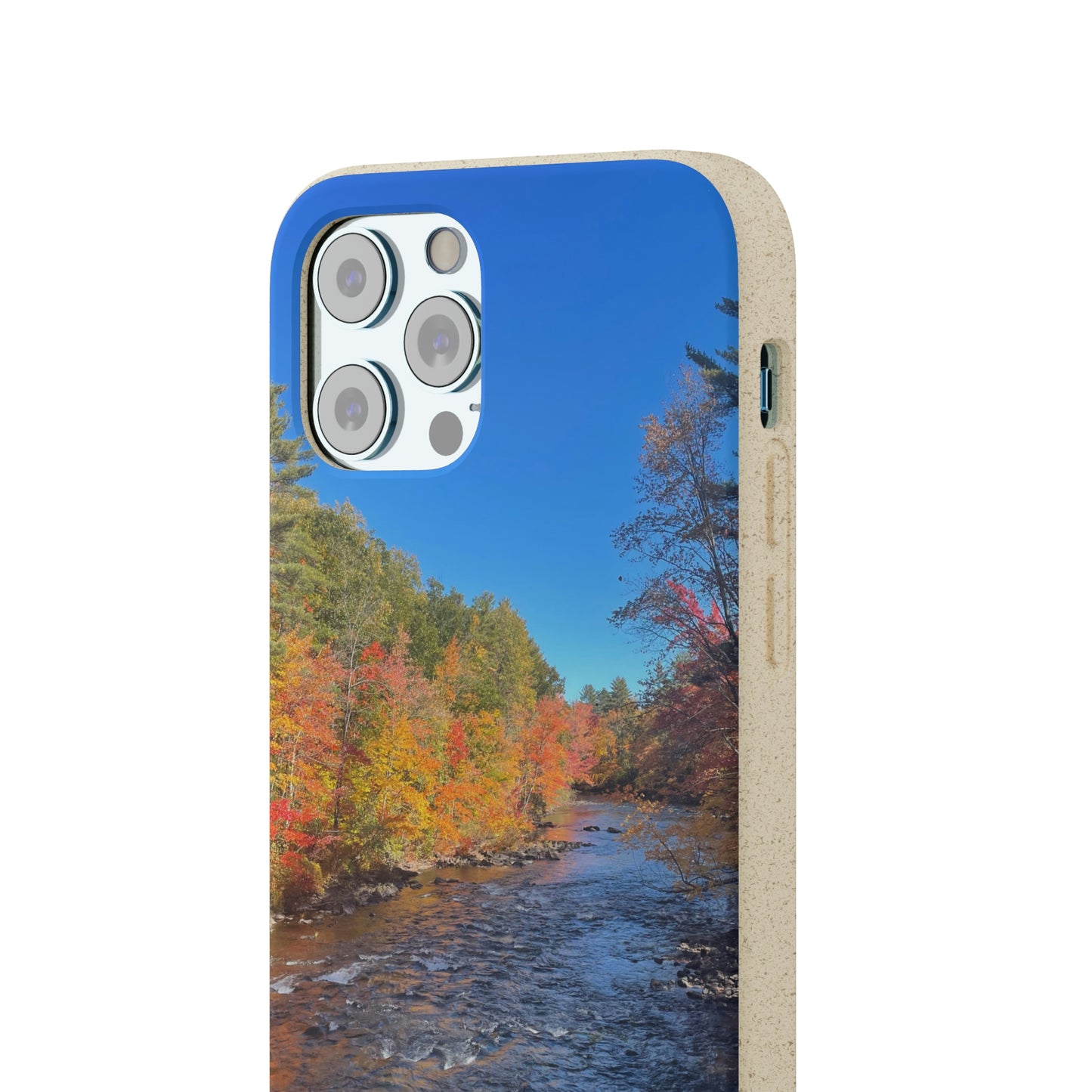 Bio-Cases, Fall Foliage NH