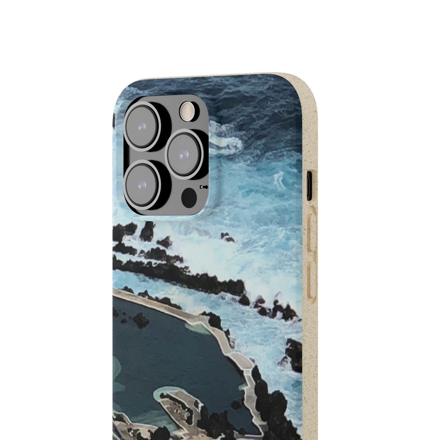 Bio-Cases, Volcanic Pools-Madeira Portugal