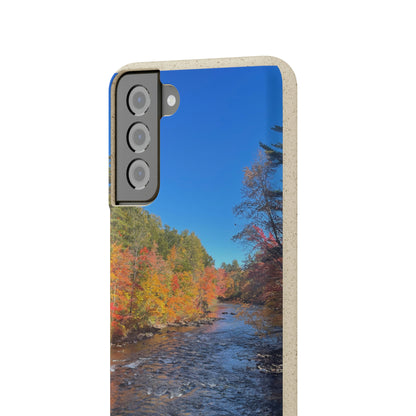 Bio-Cases, Fall Foliage NH