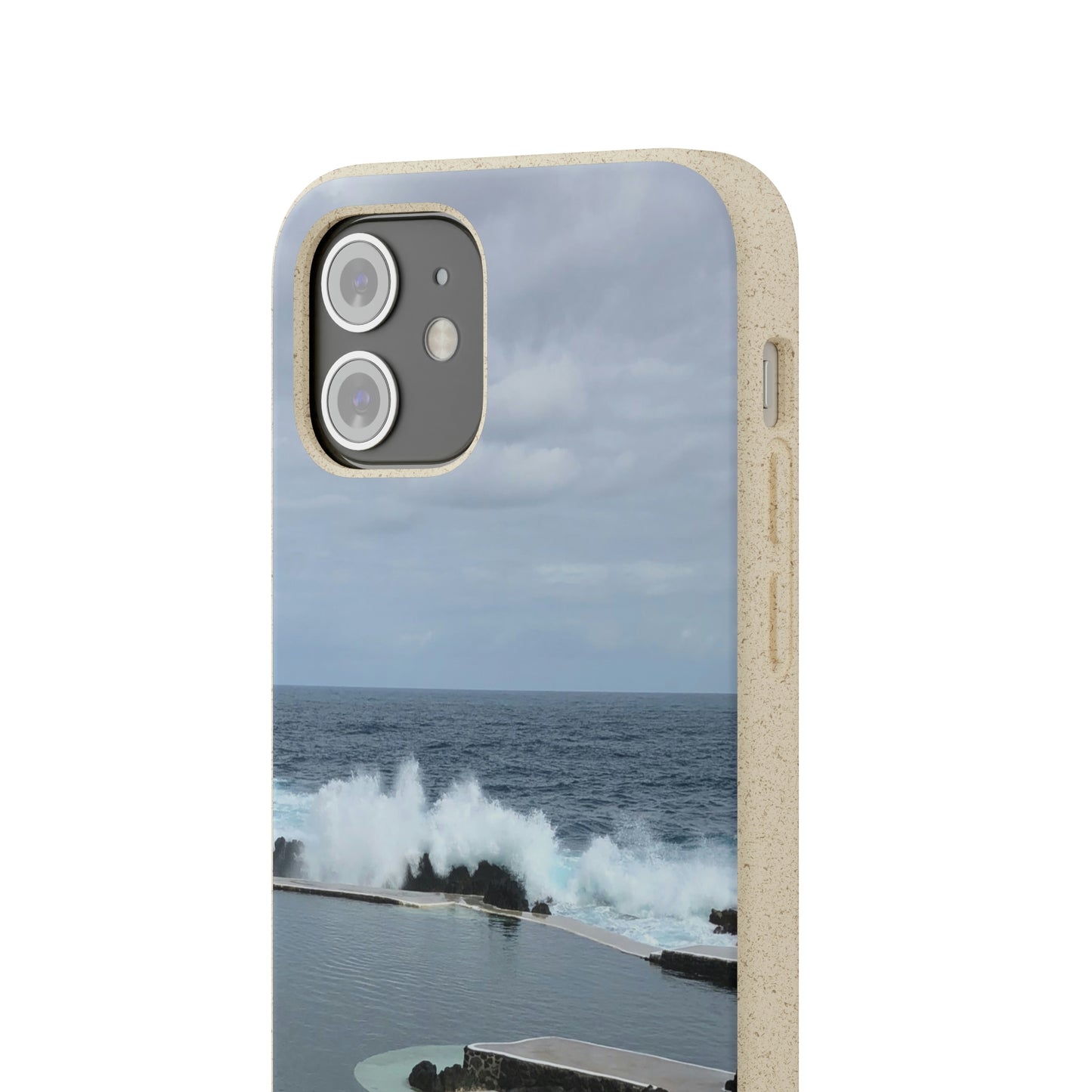 Bio-Cases, Volcanic Pools2-Madeira Portugal