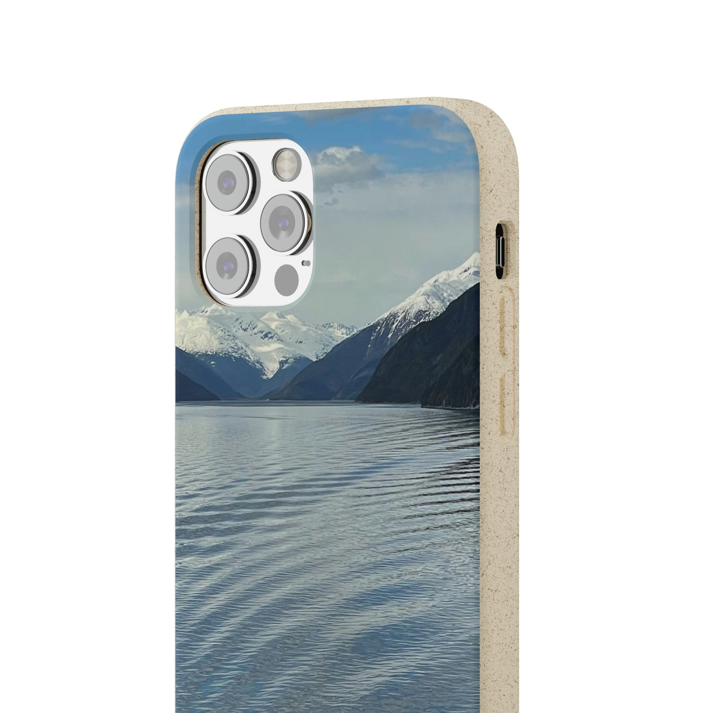 Bio-Cases, Icy Strait Alaska