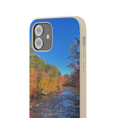 Bio-Cases, Fall Foliage NH