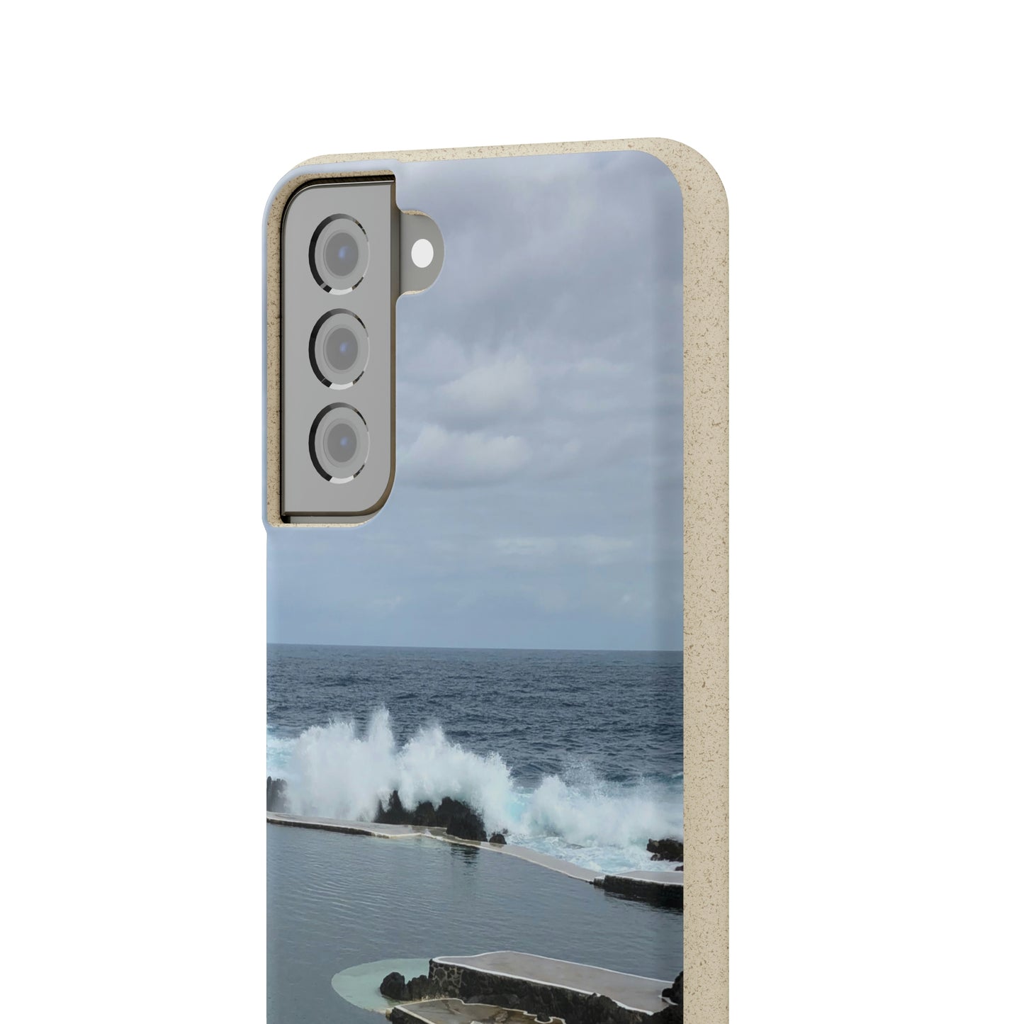 Bio-Cases, Volcanic Pools2-Madeira Portugal