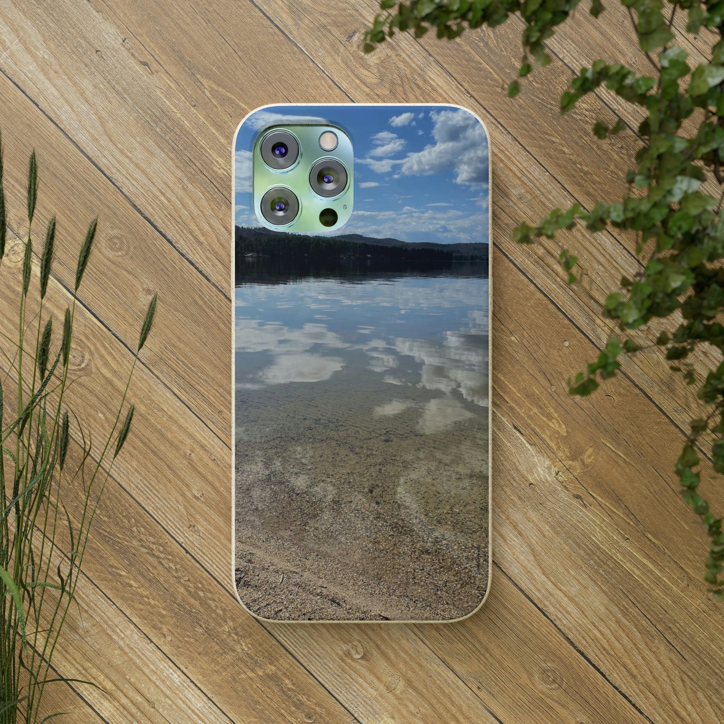 Bio-Cases, Lake Reflections