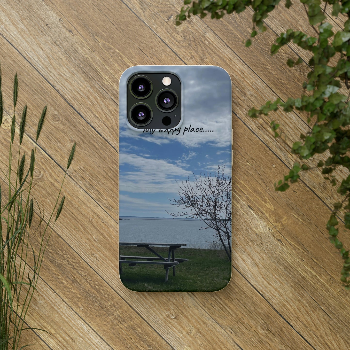 Bio-Cases, Bench by the Sea