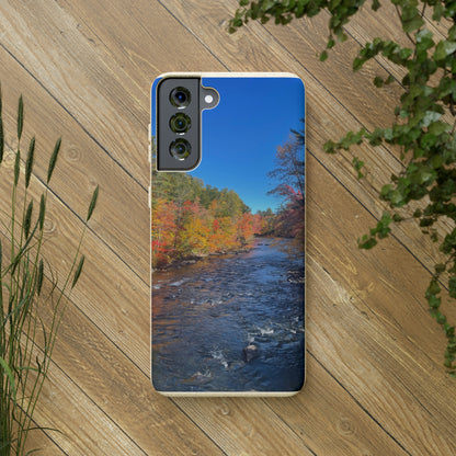 Bio-Cases, Fall Foliage NH