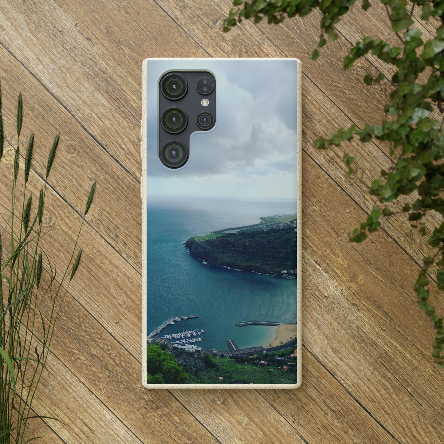 Bio-Cases, Madeira Portugal