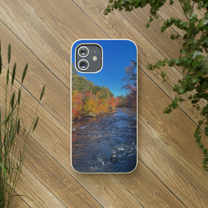 Bio-Cases, Fall Foliage NH