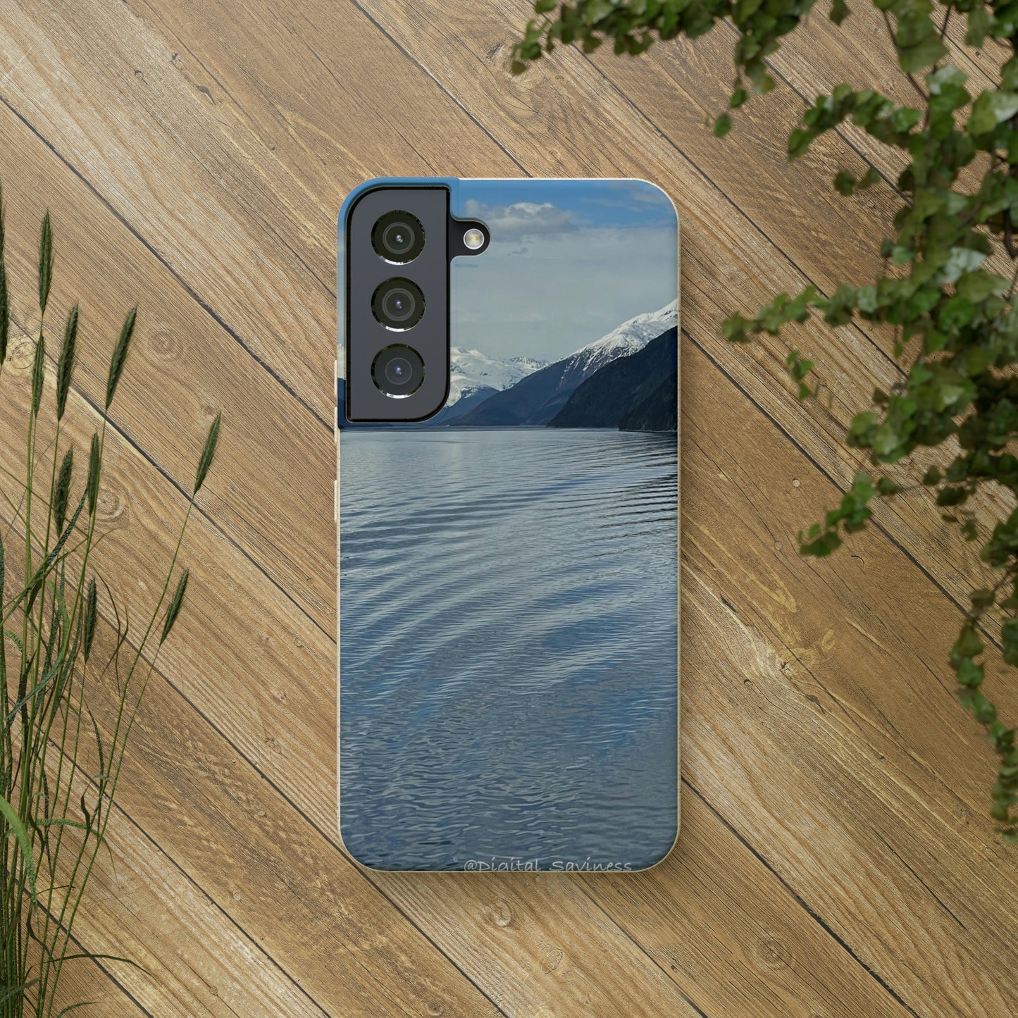 Bio-Cases, Icy Strait Alaska